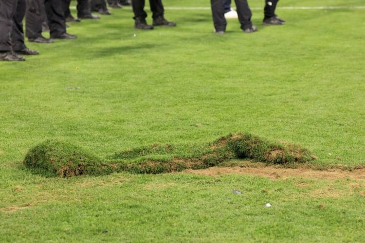 记者：球迷欧冠决赛后破坏安联草皮，巴黎将被欧足联罚款